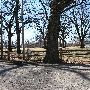 Mineral Wells Park