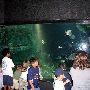 Oklahoma Aquarium - Jenks