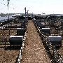 Oklahoma City Stockyards