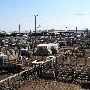 Oklahoma City Stockyards
