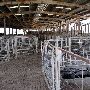 Oklahoma City Stockyards