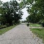 Johnson St.