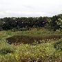 Tatanka Ranch