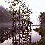Beavers Bend & Hochatown State Park Lodge