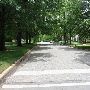 Mesta Park Historical Neighborhood