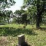Clearview Cemetery