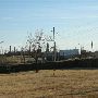 Conoco Phillips Refinery