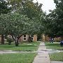 University of Science and Art Oklahoma