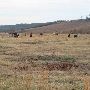 Hughes Ranch