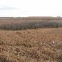 Hughes Ranch