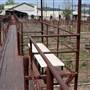 Okmulgee Live Stock Yard