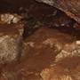 Alabaster Caverns State Park