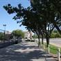 Basketball Court - Downtown Oklahoma City Community Basketball Court