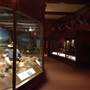 National Cowboy Hall of Fame & Western Heritage Museum