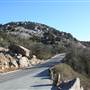 Mount Scott