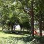 Myriad Botanical Gardens