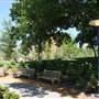 Myriad Botanical Gardens