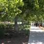 Myriad Botanical Gardens