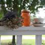 Country Cottage Prim Lilac Farm