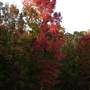 Cedar Creek Golf Course at Beavers Bend