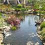 Linnaeus Garden