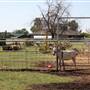 Silvertop Farm & Vineyards