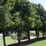 Gaillardia Country Club