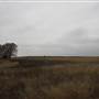 Nightmare in the Country - Kenton Ranch