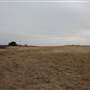 Woodward - Energy Field