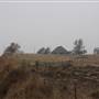 Old Farmhouse - Woodward