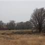 Old Farmhouse - Woodward