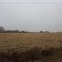 Various Woodward Landscapes