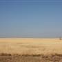 Hwy 412/36 - Guymon Area