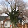Farmhouse Guymon