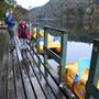 Beavers Bend & Hochatown State Park Lodge