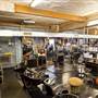 Velvet Monkey Salon