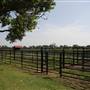NFL Farms