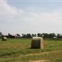 NFL Farms