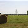 NFL Farms