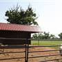 NFL Farms