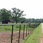 NFL Farms