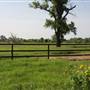 NFL Farms