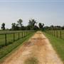NFL Farms