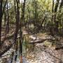 Martin Nature Park