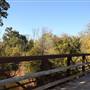 Martin Nature Park
