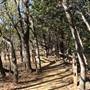 Martin Nature Park