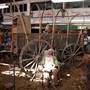 Simpson's Old Time Museum and Skeleton Creek Productions