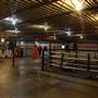 Rival Boxing Gym