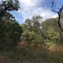 Camp DaKaNi
