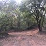 Camp DaKaNi